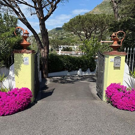 Hotel Park Calitto Forio di Ischia Exteriér fotografie