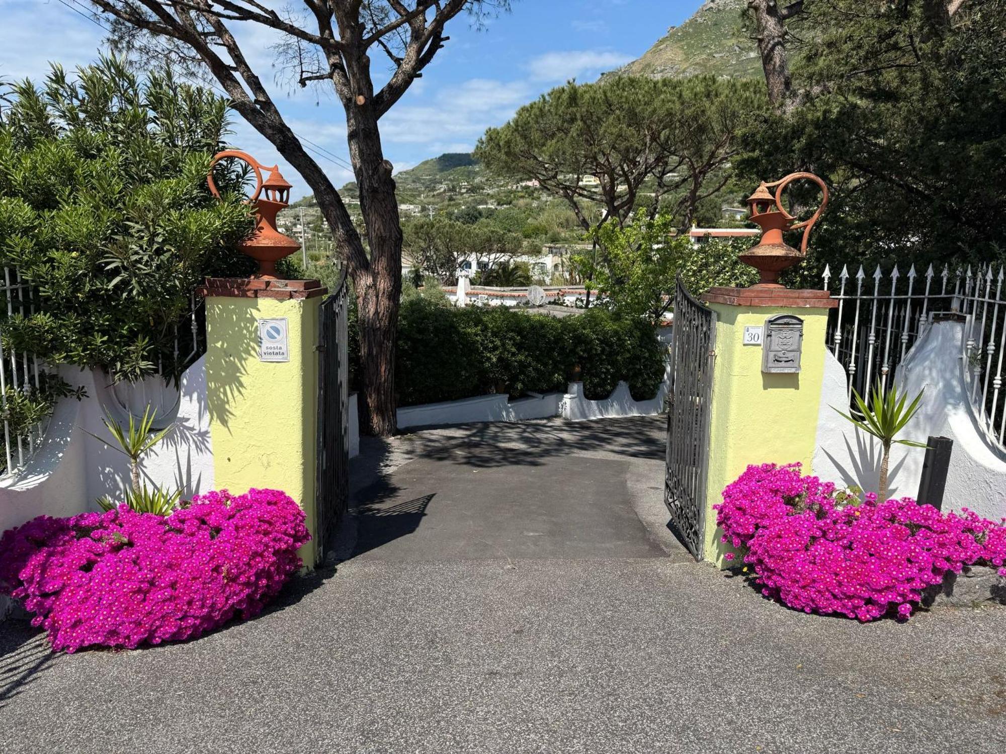 Hotel Park Calitto Forio di Ischia Exteriér fotografie